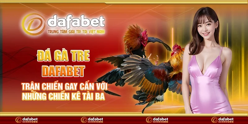 Đá gà tre Dafabet - Trận chiến gay cấn với những chiến kê tài ba
