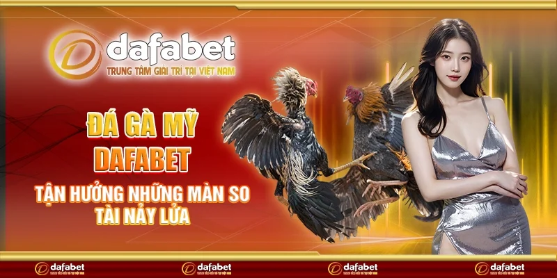 Đá gà mỹ Dafabet - Tận hưởng những màn so tài nảy lửa