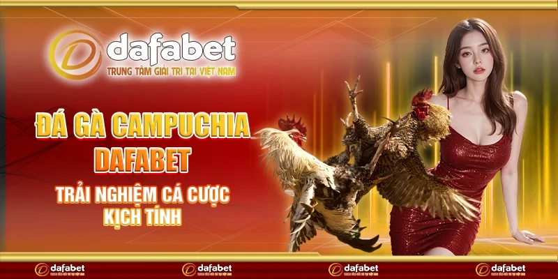 Đá gà campuchia Dafabet - Trải nghiệm cá cược kịch tính