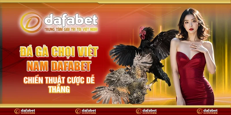 Đá gà chọi Việt Nam Dafabet - chiến thuật cược dễ thắng