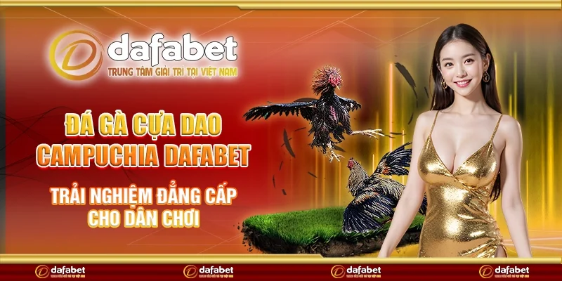 Đá gà cựa dao Campuchia Dafabet - Trải nghiệm đẳng cấp cho dân chơi