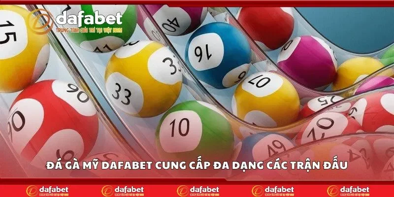 Đá gà mỹ Dafabet cung cấp đa dạng các trận đấu
