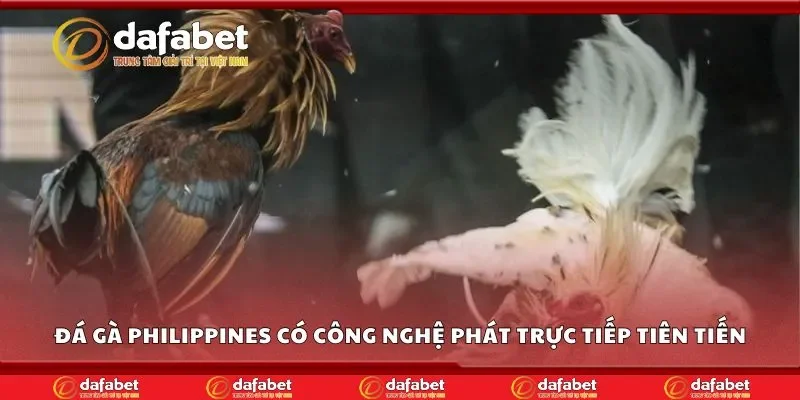 Đá gà philippines Dafabet sử dụng công nghệ phát trực tiếp tiên tiến