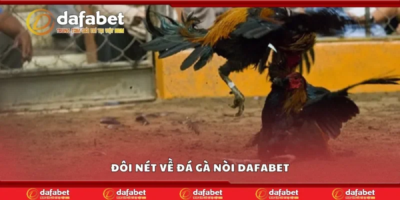 Đôi nét về đá gà nòi Dafabet
