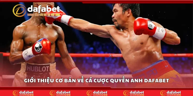 Giới thiệu cơ bản về cá cược quyền anh Dafabet