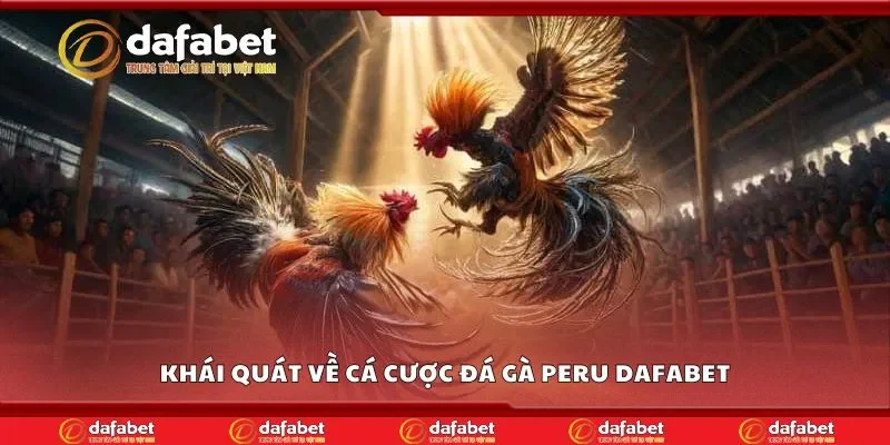 Khái quát về cá cược đá gà Peru Dafabet