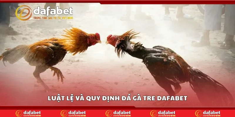 Luật lệ và quy định đá gà tre Dafabet
