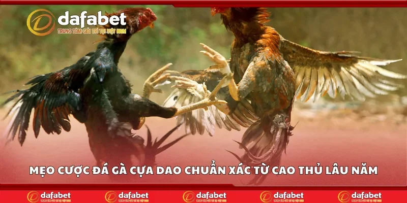Mẹo cược đá gà cựa dao chuẩn xác từ cao thủ lâu năm