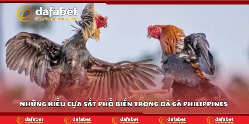 Những kiểu cựa sắt phổ biến trong đá gà Philippines 
