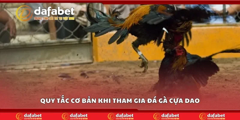 Quy tắc cơ bản khi tham gia đá gà cựa dao