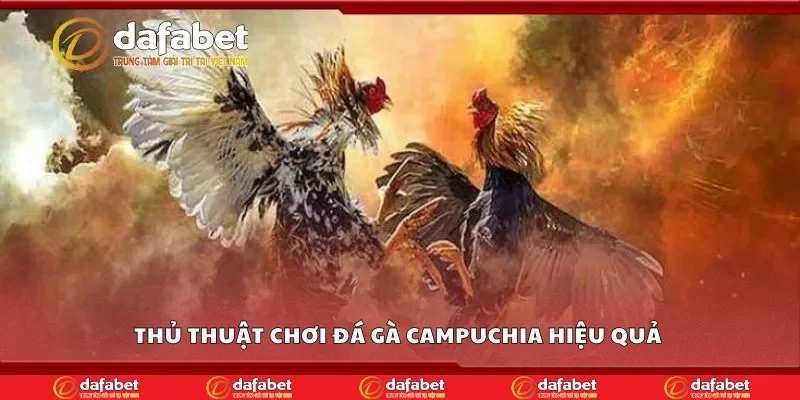 Thủ thuật chơi đá gà campuchia hiệu quả 