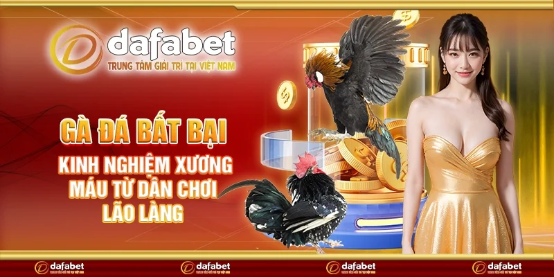 Gà đá bất bại – Kinh nghiệm xương máu từ dân chơi lão làng