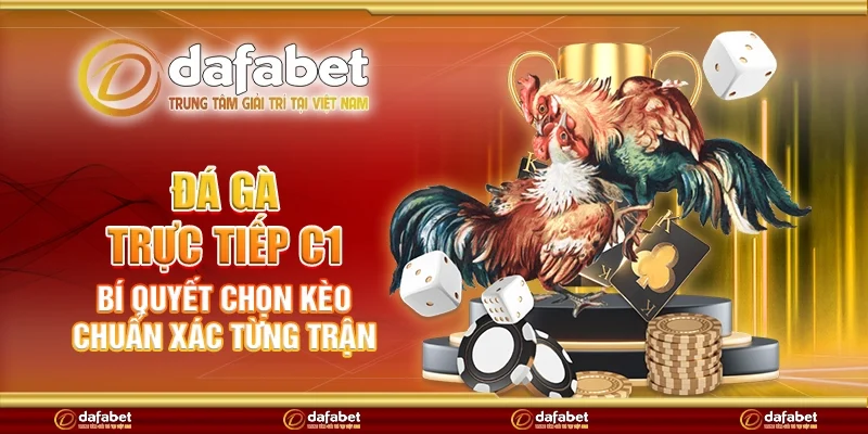 Đá gà trực tiếp C1 - Bí quyết chọn kèo chuẩn xác từng trận