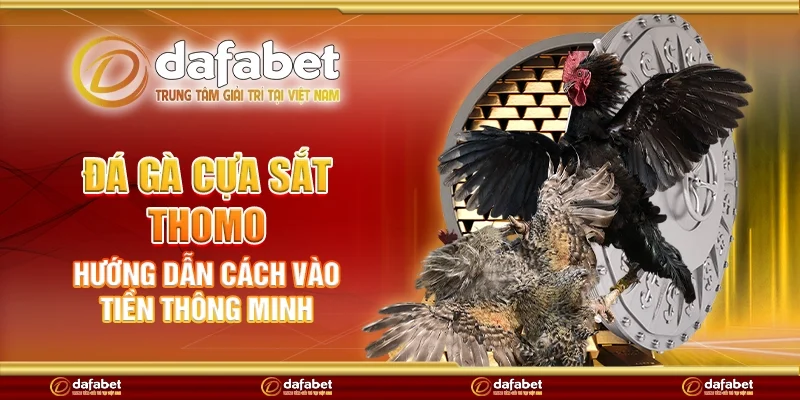 Đá gà cựa sắt Thomo – Hướng dẫn cách vào tiền thông minh