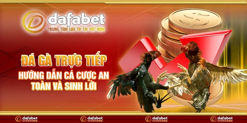Đá gà trực tiếp - Hướng dẫn cá cược an toàn và sinh lời