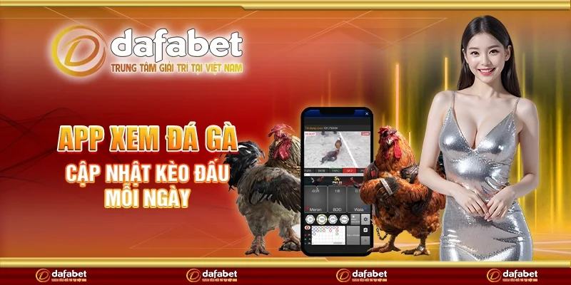 App xem đá gà - Cập nhật kèo đấu mỗi ngày