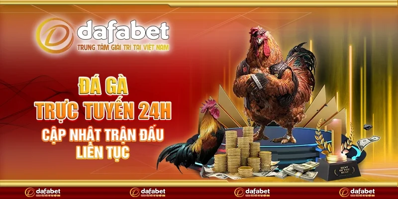 Đá gà trực tuyến 24h - Cập nhật trận đấu liên tục