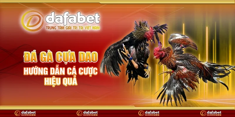 Đá gà cựa dao - Hướng dẫn cá cược hiệu quả