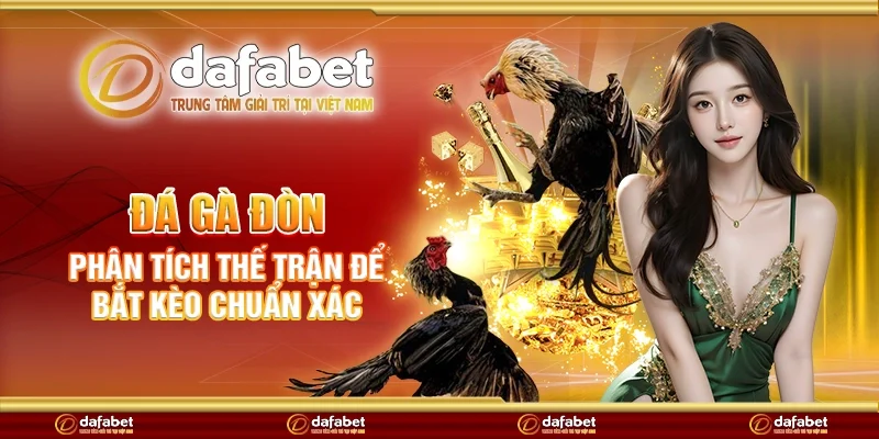 Đá gà đòn - Phân tích thế trận để bắt kèo chuẩn xác