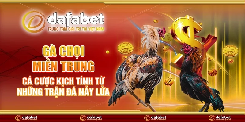 Gà chọi miền Trung - Cá cược kịch tính từ những trận đá nảy lửa