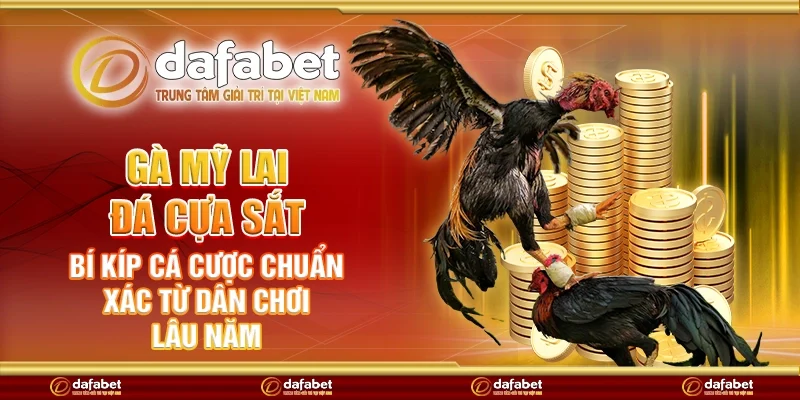 Gà Mỹ lai đá cựa sắt - Bí kíp cá cược chuẩn xác từ dân chơi lâu năm