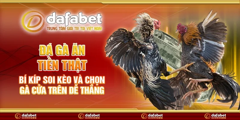 Đá gà ăn tiền thật – Bí kíp soi kèo và chọn gà cửa trên dễ thắng