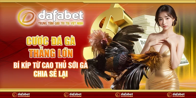 Cược đá gà thắng lớn – Bí kíp từ cao thủ sới gà chia sẻ lại