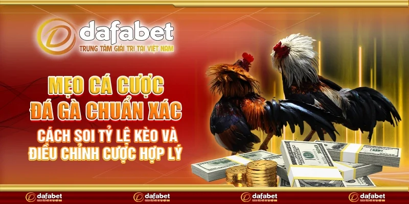 Mẹo cá cược đá gà chuẩn xác – Cách soi tỷ lệ kèo và điều chỉnh cược hợp lý