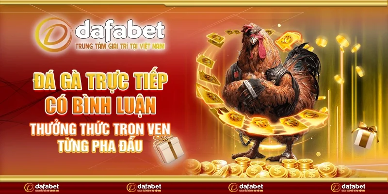 Đá gà trực tiếp có bình luận – Thưởng thức trọn vẹn từng pha đấu
