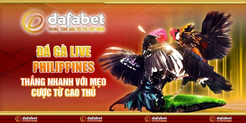 Đá gà live Philippines – Thắng nhanh với mẹo cược từ cao thủ