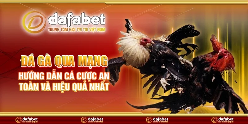 Đá gà qua mạng – Hướng dẫn cá cược an toàn và hiệu quả nhất