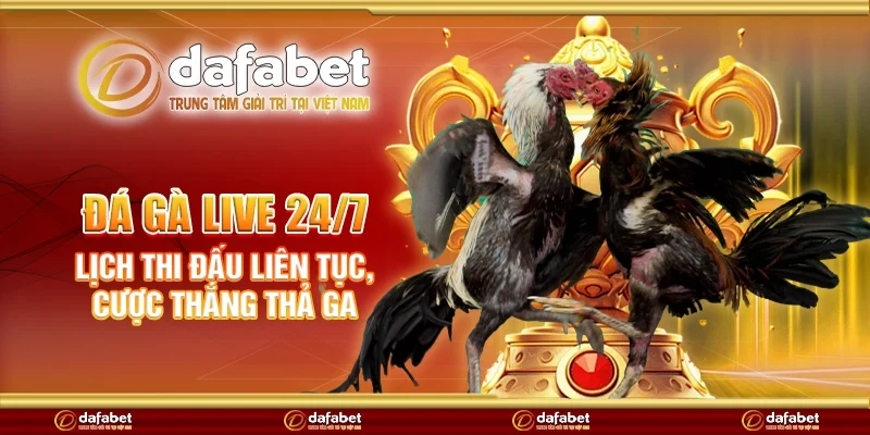 Đá gà live 24/7 – Lịch thi đấu liên tục, cược thắng thả ga