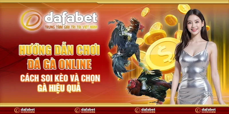 Hướng dẫn chơi đá gà online – Cách soi kèo và chọn gà hiệu quả