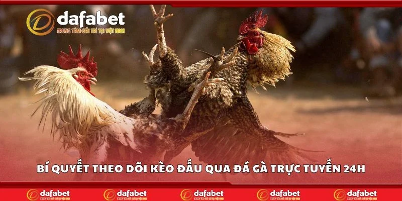 Bí quyết theo dõi kèo đấu qua đá gà trực tuyến 24h