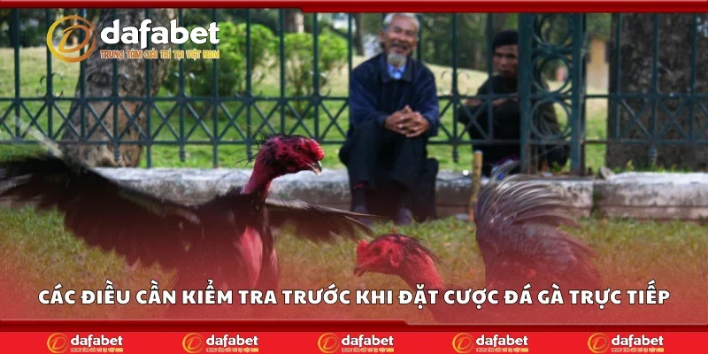 Các điều cần kiểm tra trước khi đặt cược đá gà trực tiếp