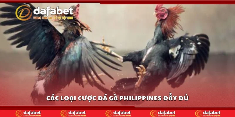 Các loại cược đá gà Philippines đầy đủ