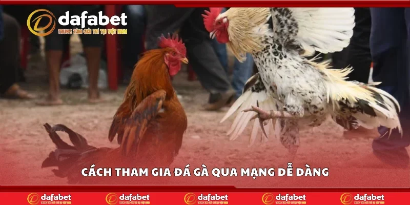 Cách tham gia đá gà qua mạng dễ dàng