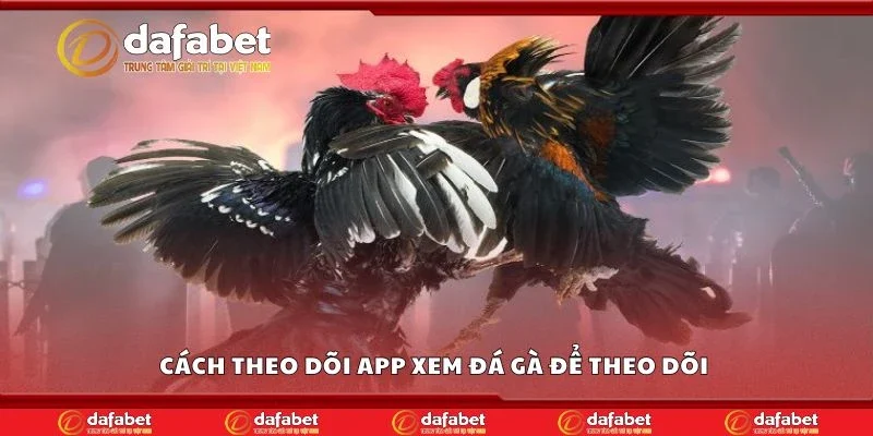 Cách theo dõi app xem đá gà để theo dõi 