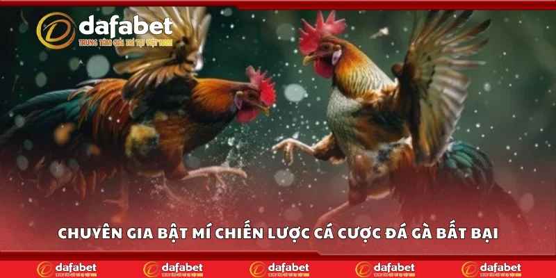 Chuyên gia bật mí chiến lược cá cược đá gà bất bại