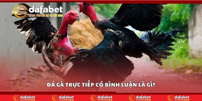 Đá gà bình luận viên là gì?