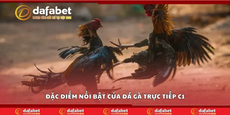 Đặc điểm nổi bật của đá gà trực tiếp C1