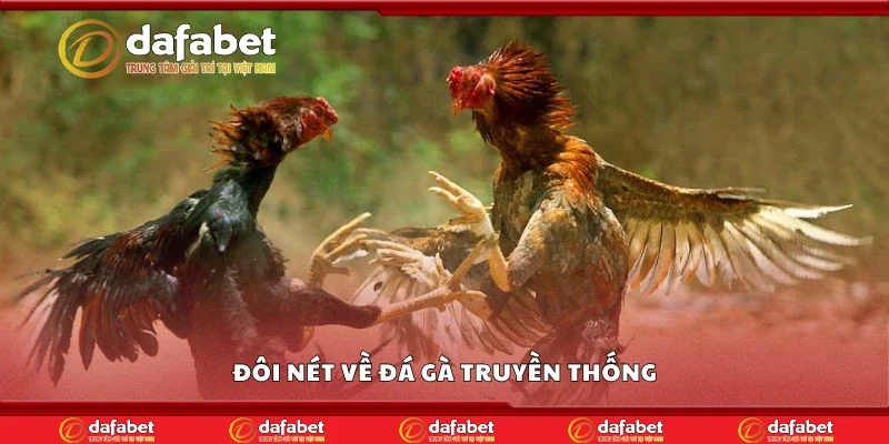 Đôi nét về đá gà truyền thống