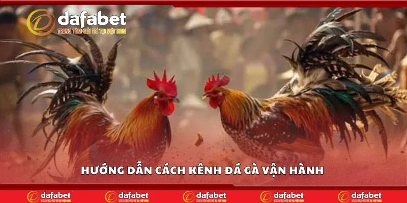 Hướng dẫn cách kênh đá gà vận hành 
