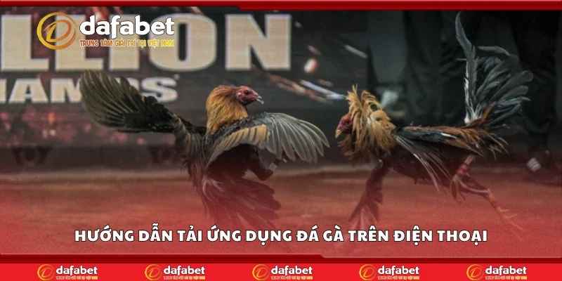 Hướng dẫn tải ứng dụng đá gà trên điện thoại
