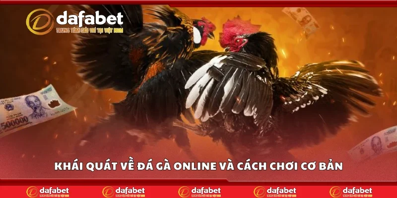 Khái quát về đá gà online và cách chơi cơ bản