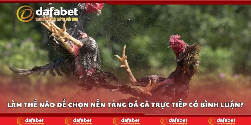 Làm thế nào để chọn nền tảng đá gà trực tiếp có bình luận?