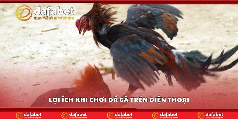 Lợi ích khi chơi đá gà trên điện thoại