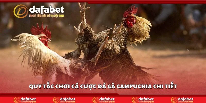 Quy tắc chơi cá cược đá gà Campuchia chi tiết