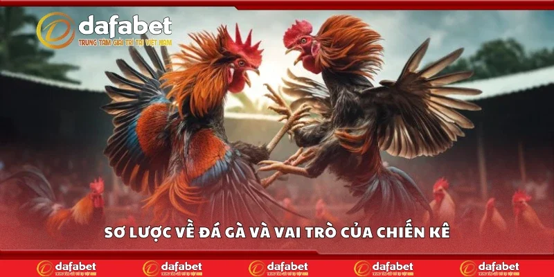 Sơ lược về đá gà và vai trò của chiến kê