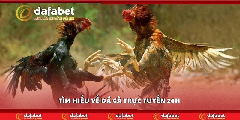 Tìm hiểu về đá gà trực tuyến 24h 